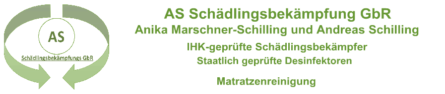 Matratzenreinigung